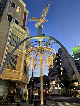 横浜元町オブジェ イルミネーション,元町,横浜の写真素材