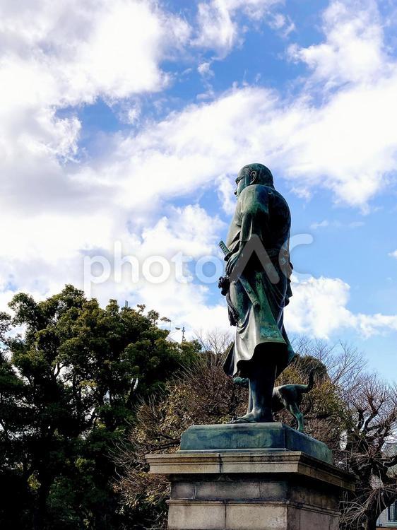 東京風景・上野公園 上野公園,上野恩賜公園,西郷隆盛像の写真素材