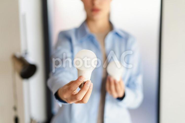 両手に電球を持つ人の手元 電球,持つ,手元の写真素材