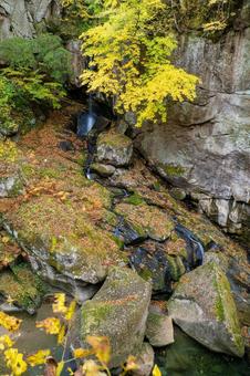 秋の磊々峡(28) 秋,紅葉,落ち葉の写真素材