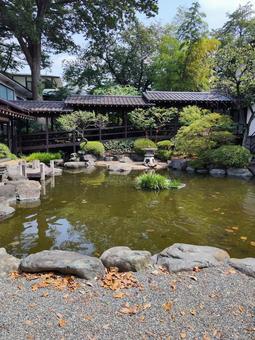 池 池の写真