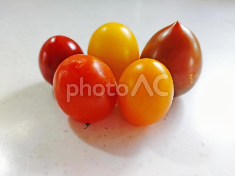 ミニトマトたち・その7 ミニトマト,作る,野菜の写真素材