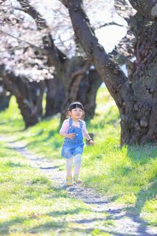 Girl running along a row of cherry blossom trees, girl, cherry blossoms, run, JPG