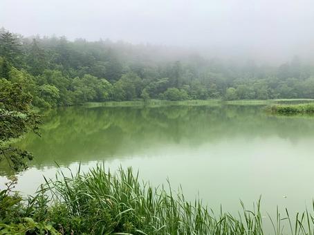 朝靄の沼 池,湖,沼の写真素材