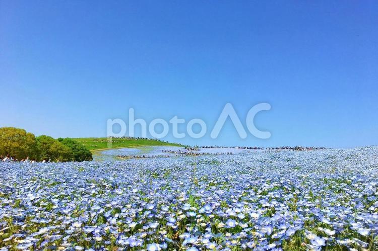春の公園のイメージ 公園,旅,旅行の写真素材