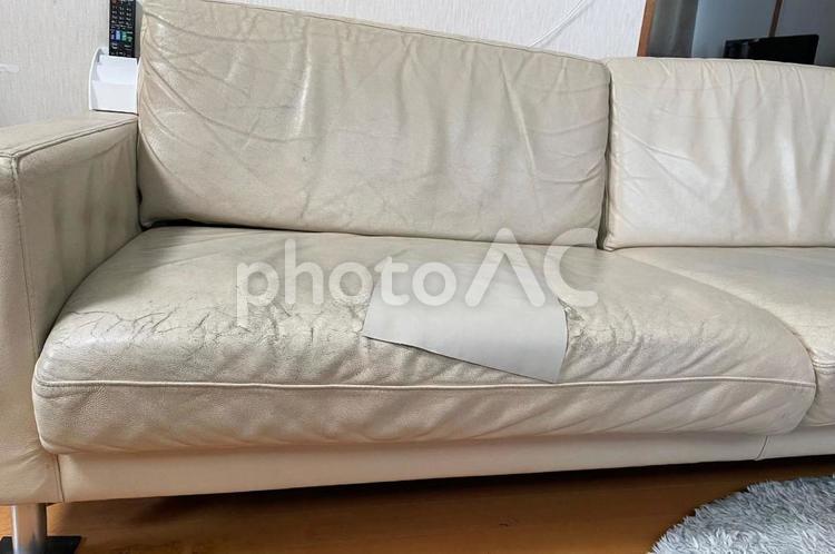 リビングの経年劣化した白い革ソファ 経年劣化,ソファ,革の写真素材