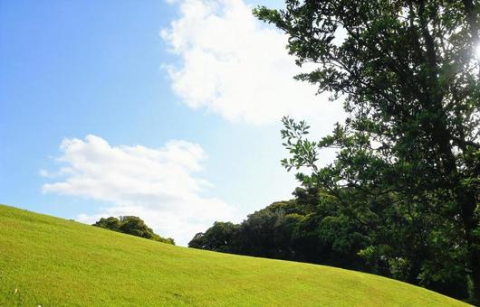 曇と芝生の写真
