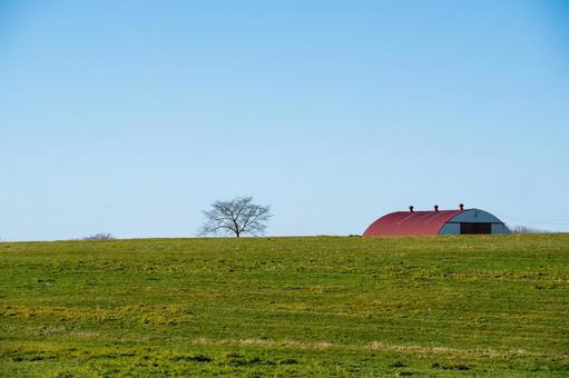 秋の樹木と赤い屋根のある丘 赤い屋根,一本木,丘の写真素材