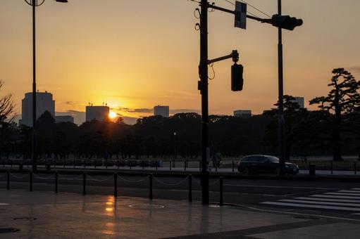 都心の夕暮れの写真