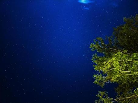 夜空を見上げて 夜空を見上げての写真
