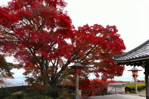 善峯寺の紅葉 善峯寺,紅葉,秋の写真素材