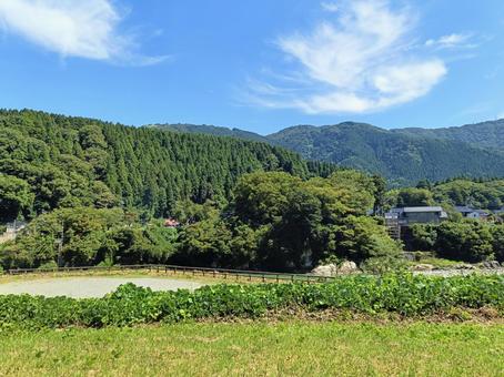 整備された河原のキャンプ場 整備された河原のキャンプ場 整備,石川県,白山市の写真素材