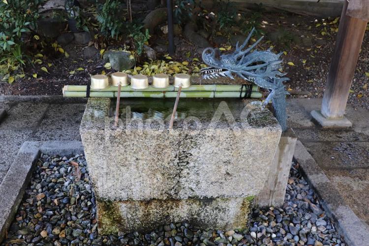 梅宮大社　手水舎 梅宮大社,手水舎,酒造の神様の写真素材