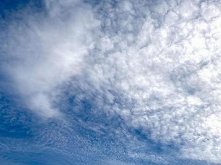 雨の日の前日の鱗雲の写真