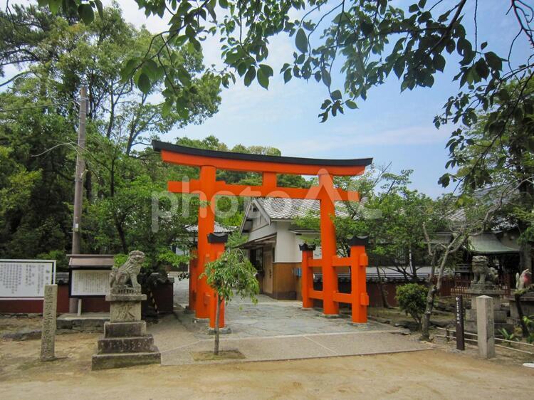 和歌浦・玉津島神社 玉津島神社,和歌浦,鳥居の写真素材