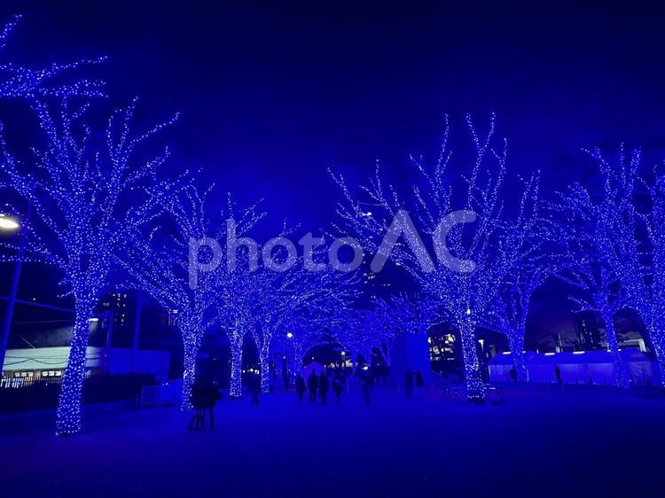 青の洞窟 渋谷,青の洞窟,イルミネーションの写真素材