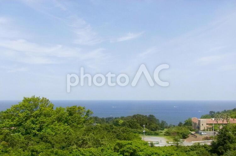 緑の木々と海 新緑,水平線,海の写真素材