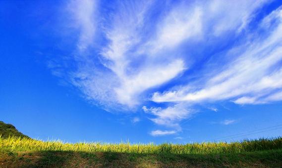 山上の田んぼと秋晴れの青空と雲 山上の田んぼと秋晴れの青空と雲 秋空,秋晴れ,秋の写真素材