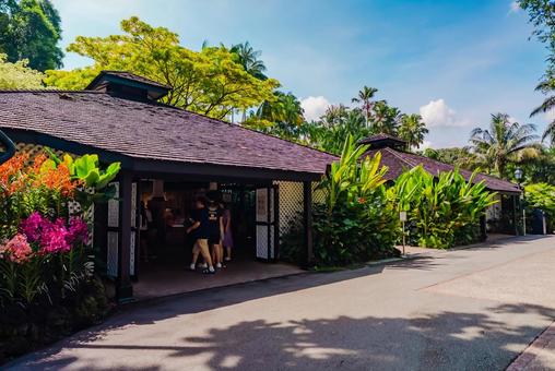 【シンガポール】植物園オーキッドガーデン ナショナル,オーキッドガーデン,ガーデンの写真素材