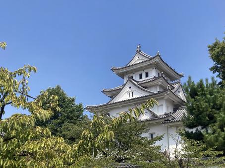 大垣城 大垣城 大垣城,岐阜,大垣市の写真素材