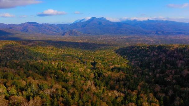紅葉の絶景 三国峠 北海道 紅葉の絶景 三国峠 北海道の写真