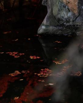Fallen autumn leaves floating on a pond, JPG