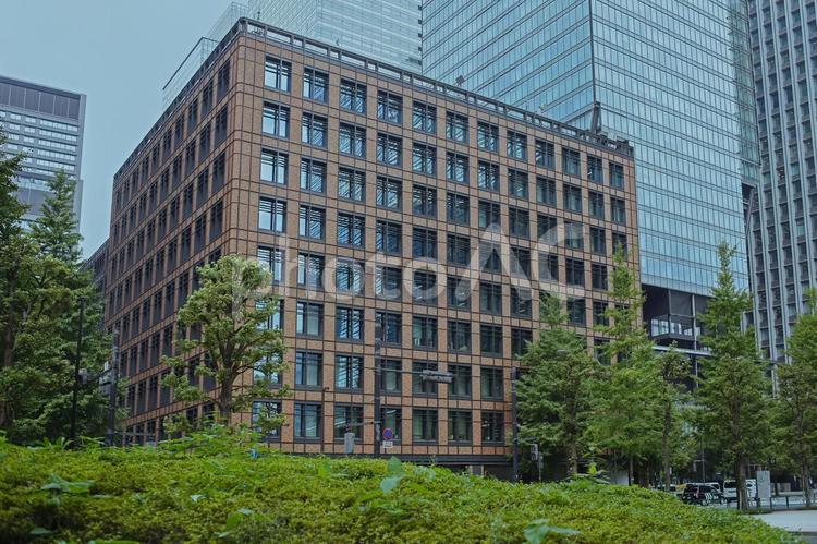 オフィスビル　緑の木 ビル,ビジネス,仕事の写真素材