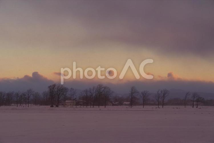 冬の夕暮れ 自然,風景,美しいの写真素材