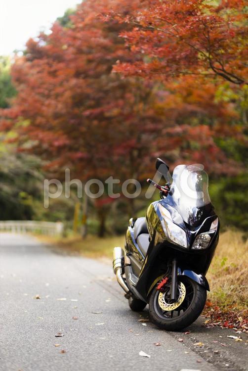 紅葉とバイクのある風景 バイク,スクーター,ビッグスクーターの写真素材
