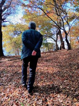 枯葉の山を登る 中年男性,冬,秋の写真素材