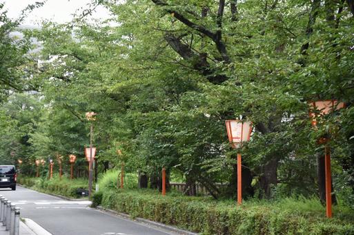 夏の京都 高瀬川沿い 夏の京都 高瀬川沿いの写真