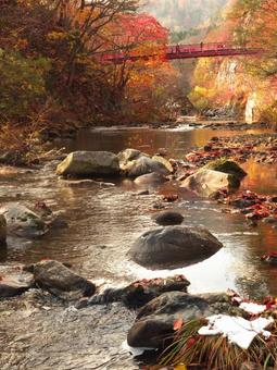 晩秋の定山渓温泉 定山渓温泉,秋,二見吊り橋の写真素材