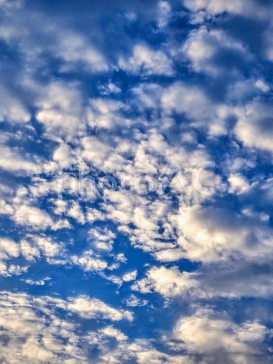 夏の空・夕方の青空を覆う白雲 夏,夕方,夏空の写真素材