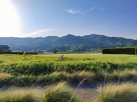 茨城県石岡市芦穂中部の田園風景 茨城県石岡市芦穂中部の田園風景 田園風景,農業,農地の写真素材