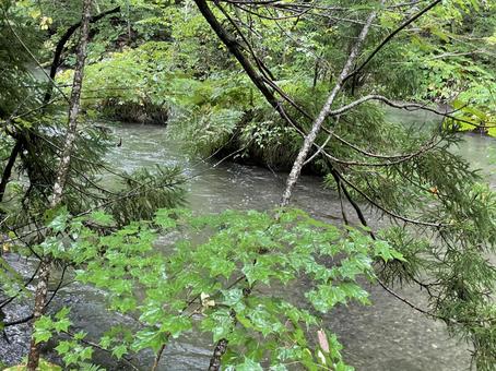 川のほとりにて 川のほとりにて 川,自然,落ち着くの写真素材