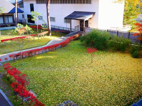 秋の紅葉 中尊寺 秋の紅葉 中尊寺 平泉,中尊寺,chusonjiの写真素材