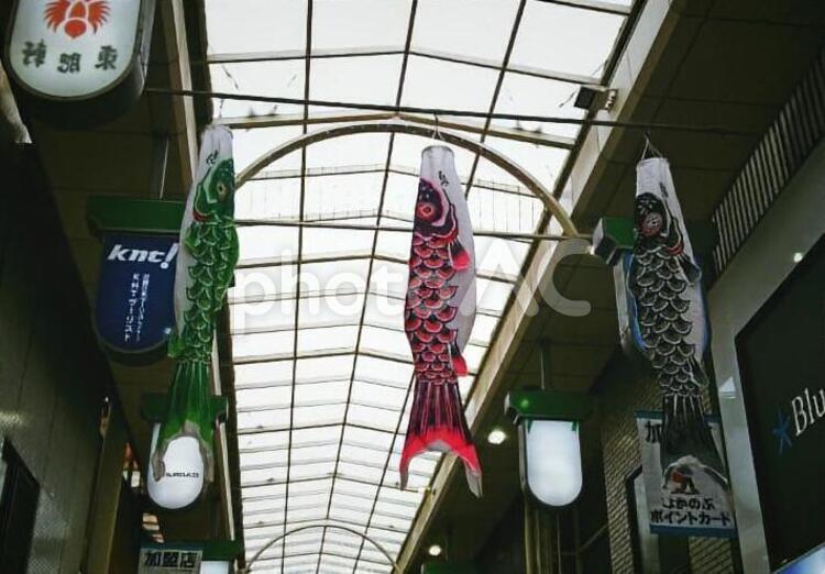商店街の鯉のぼり 鯉のぼり,商店街,アーケードの写真素材