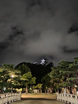 夜の高知城 夜の高知城の写真