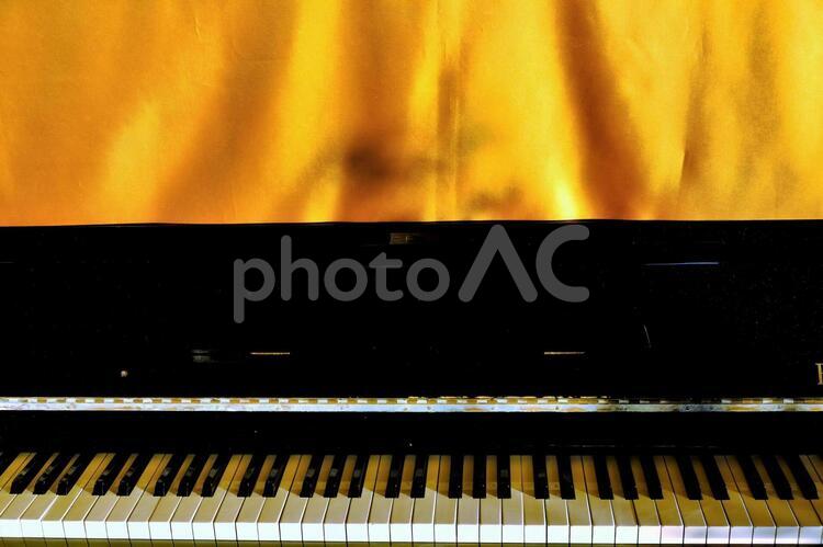 金色の幕と朝陽を浴びるピアノの鍵盤６ 鍵盤,ピアノ,音楽の写真素材