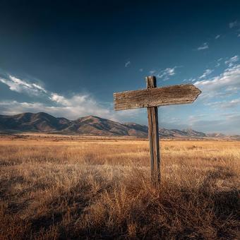 夕日を浴びる草原の看板 夕日を浴びる草原の看板の写真