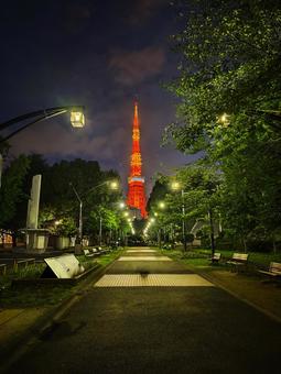 東京タワーの夜景 東京タワーの夜景 日本,東京,タワーの写真素材
