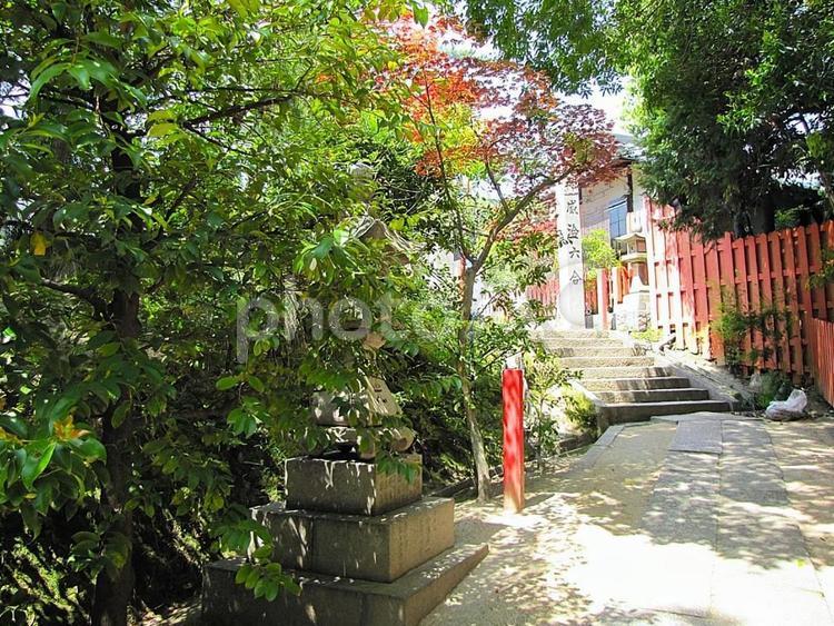 【風景写真】三蔵稲荷神社の風景 三蔵稲荷神社,三蔵稲荷,稲荷神社の写真素材