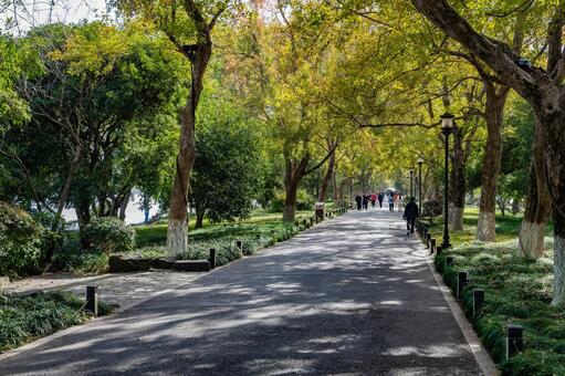 杭州・西湖 蘇堤 西湖,蘇堤,杭州の写真素材