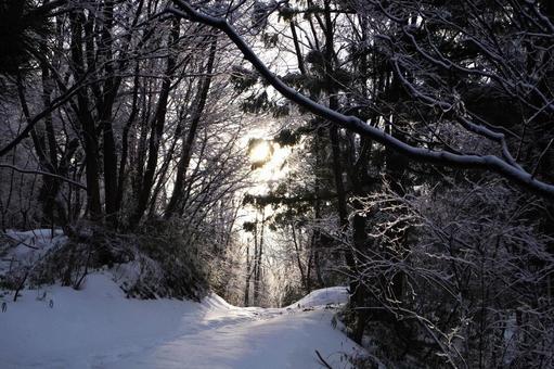 冬の景色 冬の景色の写真