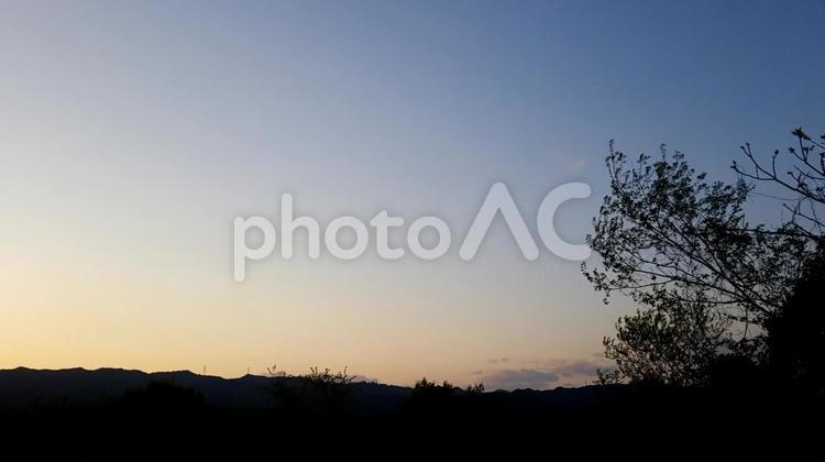 夕暮れ 空,木,風景の写真素材
