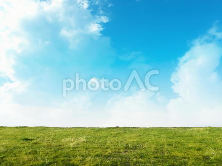 夏の青空と緑の土手 空,青空,雲の写真素材