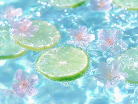 キラキラ輝く水面とライム3の写真