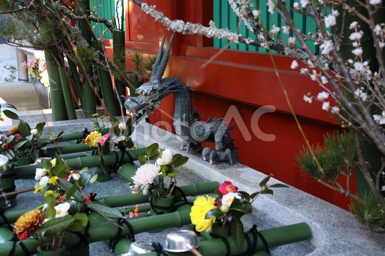 龍の手水舎 手水舎,龍,神社の写真素材