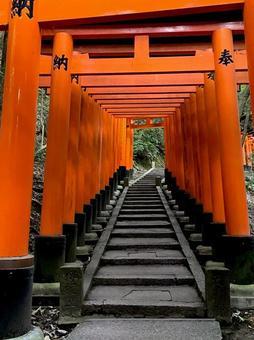 京都・伏見稲荷大社・赤鳥居 京都・伏見稲荷大社・赤鳥居 京都,伏見稲荷大社,赤鳥居の写真素材