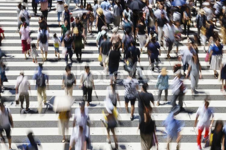 横断歩道を渡る人々 不景気,社会,労働の写真素材